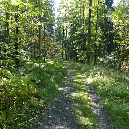 Dreiseitenhof Kuenzel *