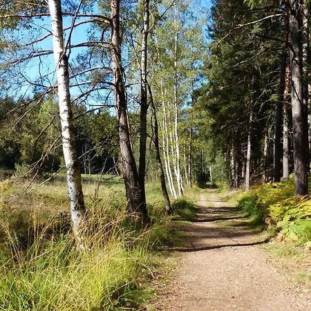 Διαμέρισμα Dreiseitenhof Kuenzel Tharandt