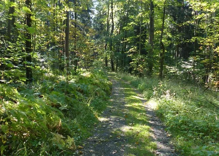 Dreiseitenhof Kuenzel *